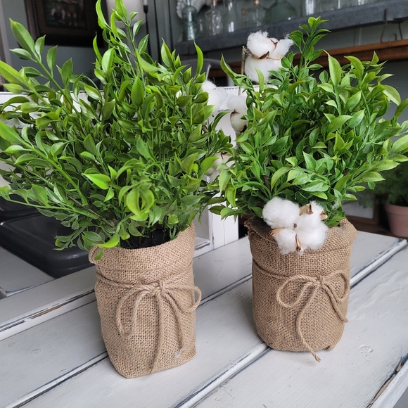 Artificial Plants - Set - Picture 1 of 1